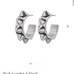 Nit Örhängen Edblad - Säljer dessa helt nya örhängen från Edblad då jag är en ”guld tjej”. Det var lite fel och därmed så har de bara legat. De är alltså inte ens provade, de ligger kvar i förpackningen osv. Orginal pris 399kr mitt pris 200kr 