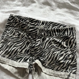 Zebra shorts - Zebra shorts från hm, haft i många år så finns inte kvar, men de är välbehållna!