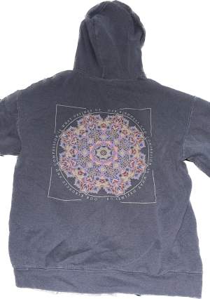Riktigt trevlig graphic hoodie från Urban Outfitters, är i bra skick. Originalpris: 700 kr 
