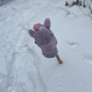Säljer denna  - Säljer denna käpphäst pågrund av att jag inte använder den 😊pris kan diskuteras 