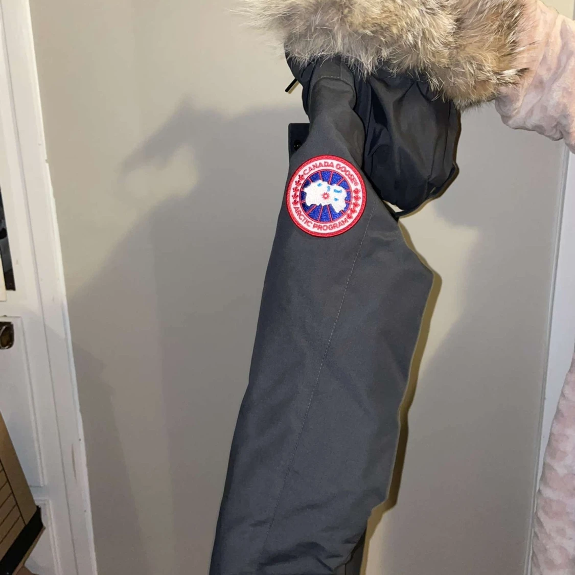 Canada goose  - 90