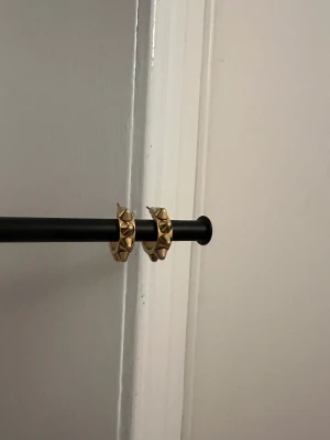 Örhängen🤍 - Helt oanvända örhängen från Edblad som är trendiga🤍