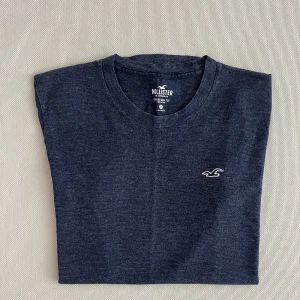 Hollister T-Shirt - Good condition. No stains. Rarely worn.