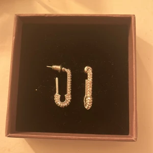 Örhängen  - Örhängen silver 