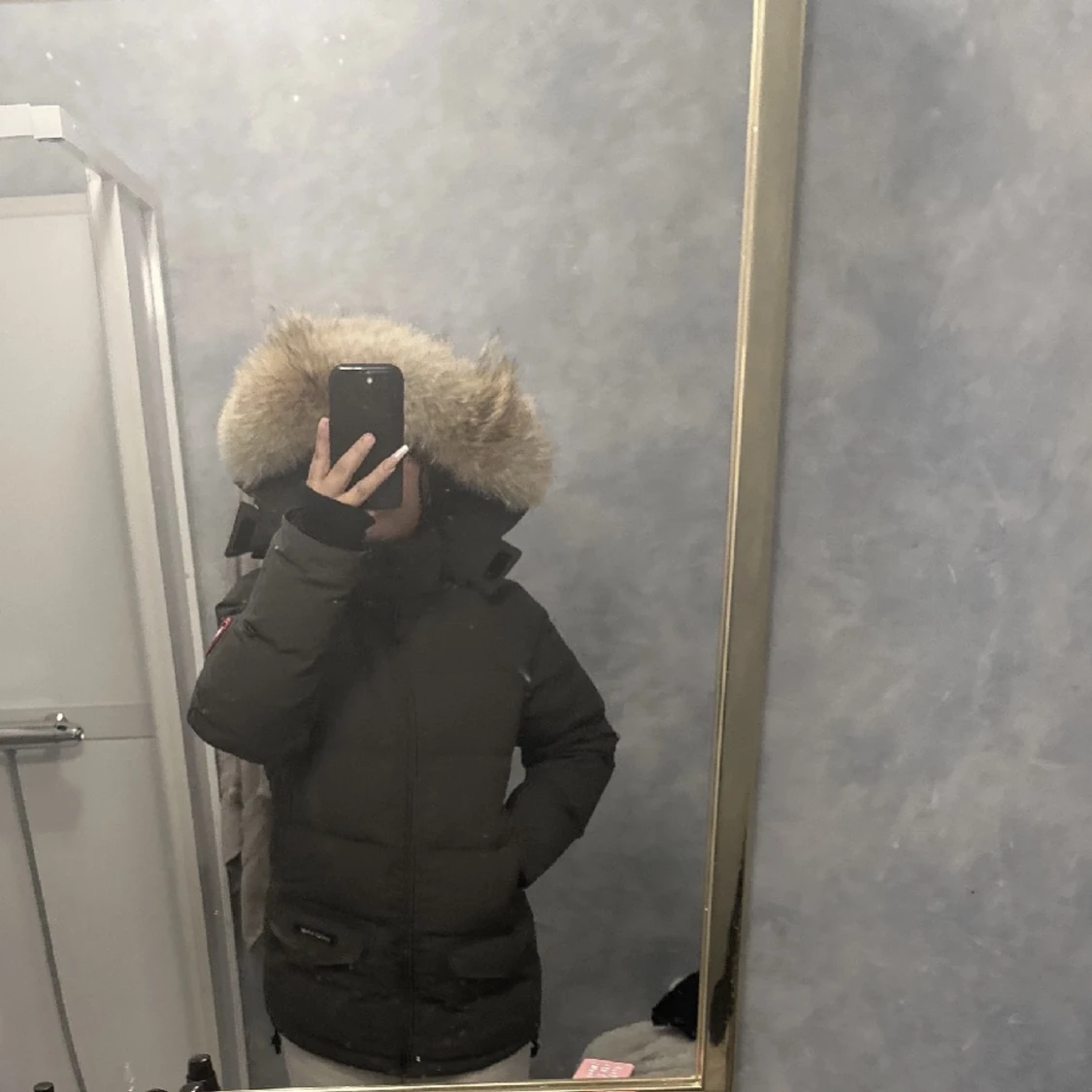Canada goose  - 90