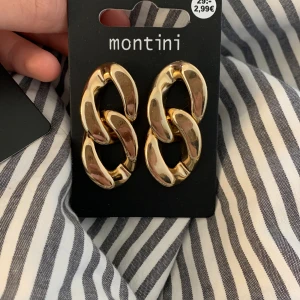 Örhängen - Super fina örhängen för kanske lite festligare tillfällen, orginal pris är 29kr jag säljer för 15kr +15kr frakt aldrig använda köpta idag,