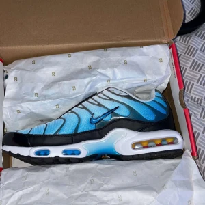 Nike TN air max  - Nike TN air max. Jag säljer skorna för jag har köpt nya skor. Skorna är använda 2 gånger och är 10/10 skick. Storlek 45 men passar även 44  Pris: 1700kr Pris kan även diskuterar.  Nypris: 2500kr Först till kvarn  