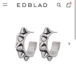 Edblad örhängen - Silvriga edbladörhängen andvända många gånger men nogrant rengjorda🫶🏻