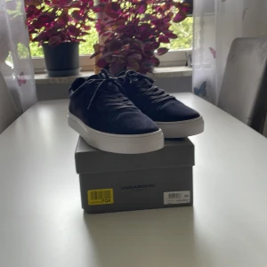 Vagabond Paul 2.0 - storlek 45 skick 9/10 bara smutsiga på undersidan med tanke på att jag använde dom 1 dag nypris 1195