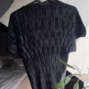 Plisserad festtopp - Plisserad super fin glansig Top från zara aldrig använd! 🩶storlek M men passar mindre och större 