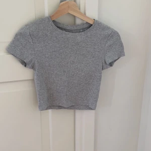 Tshirt  - En grå croppad tshirt 