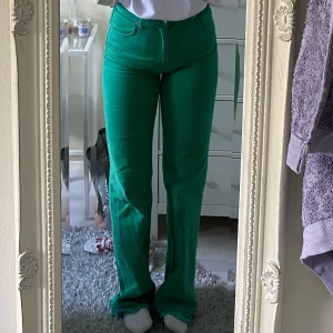 Jeans från Zara - Säljer dom här ursnygga gröna jeansen från Zara, som tyvärr blivit för små för mig! Perfekta byxan nu till sommarens bravader i strl 38! Köparen står för fraktkostnad💚
