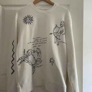 ZARA sweatshirt strl M - En sweatshirt från Zara storlek M, använd max två gånger.