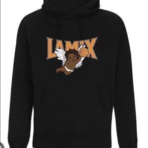 säljer min lamix hoodie i storlek m
