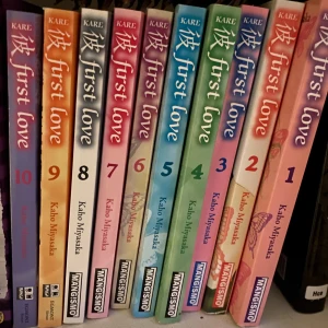 Manga  - Hela kollektionen av mangan First Love! Väldigt bra skick, ser nya ut :)  Språket är på svenska 