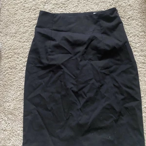 Svart kjol - Medellång kjol från Tiger of Sweden, strl 36