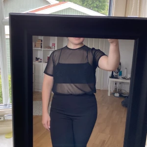Mesh T-shirt  - Svart mesh T-shirt i storlek XS från Nelly. Tunt och skönt material, ganska lång så går bra att stoppa in den om man vill det. Sparsamt använd.
