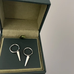 Edblad örhängen - Intressekoll på dessa fina örhängen från Edblad💞köp direkt för 300kr och jag bjuder på frakt (andra bilden är lånad) nypriset är 399kr