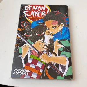Demon slayer volume 1 - Säljer denna då jag läst ut den o behöver lite pengar :))