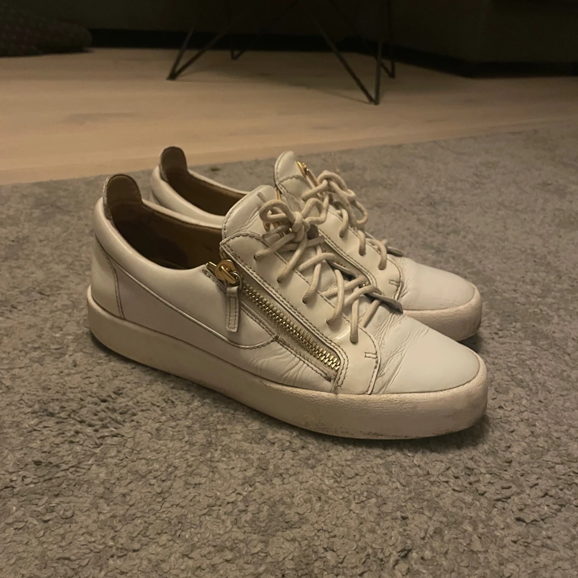 Giuseppe Zanotti