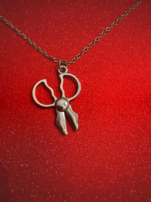 Silverhalsband sax - Säljer smycken som skapats som hobby av mig och dottern.   Halskedjan är ca 45-50cm  Bilder på berlock kan vara missvisande så är det viktigt så fråga gärna om mått 🌹  Smycken är inte av äkta guld/silver .   Inga bud godtas då priserna är så billiga❤️