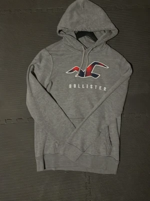 Hollister hoodie  - As fet grå hoodie från Hollister som passar perfekt nu till vintern. Skick 9/10 pris 349 men inget är hugget i sten så kom gärna med förslag eller frågor!