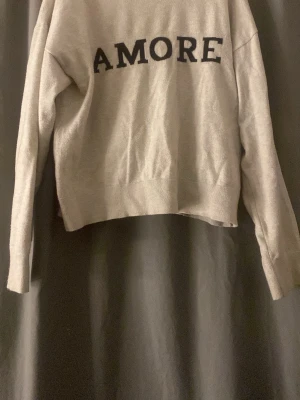 Beige tröja med en AMORE text från Gina Tricot - Beige långärmad tröja från Gina Tricot med svart texten 'AMORE' framtill. Tröjan har ribbade muddar vid ärmslut och nederkant, samt en enkel och clean design som passar till mycket. Perfekt för dig som gillar stilrena plagg med en twist.