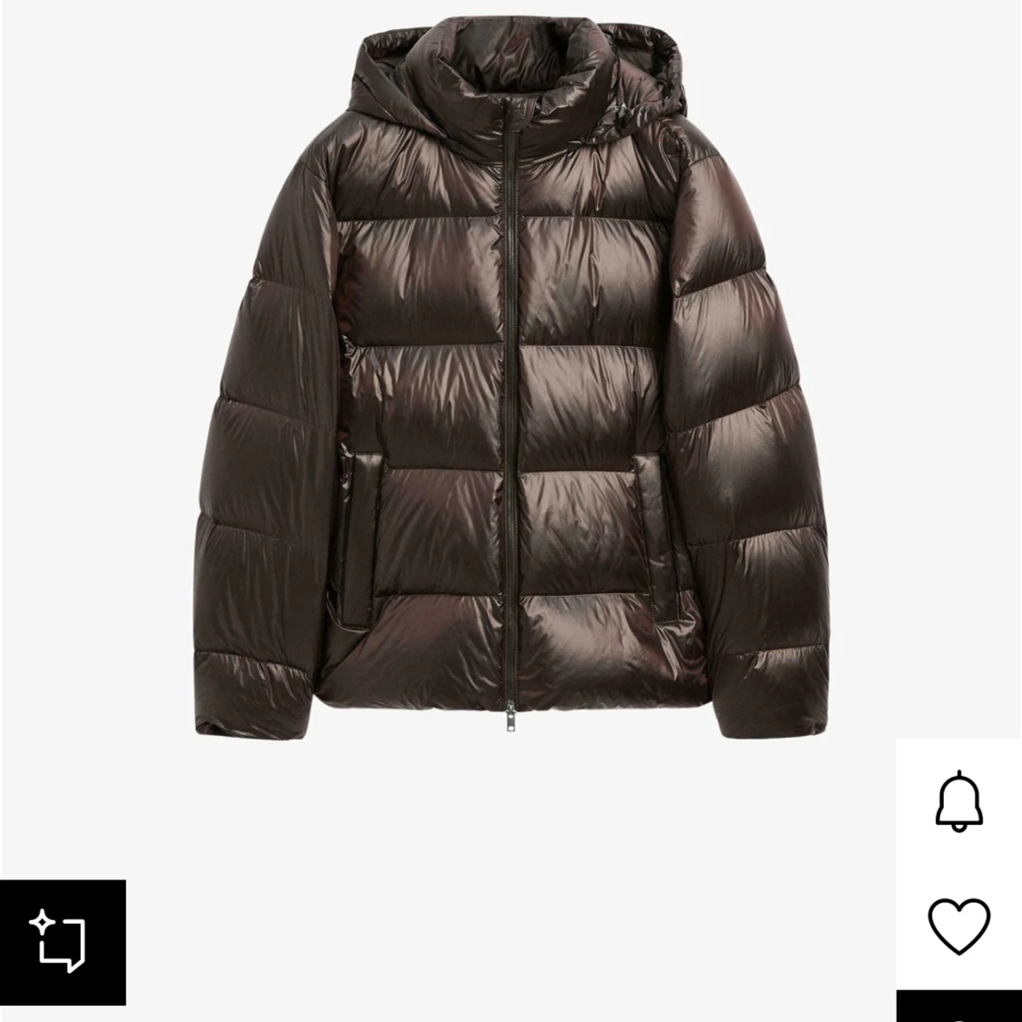 Mörkbrun pufferjacka med huva från masimo dutti