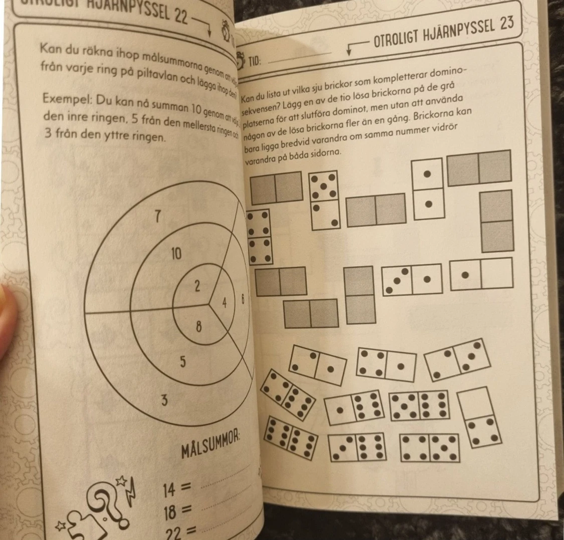 Otroliga hjärnpyssel av Gareth Moore - 6