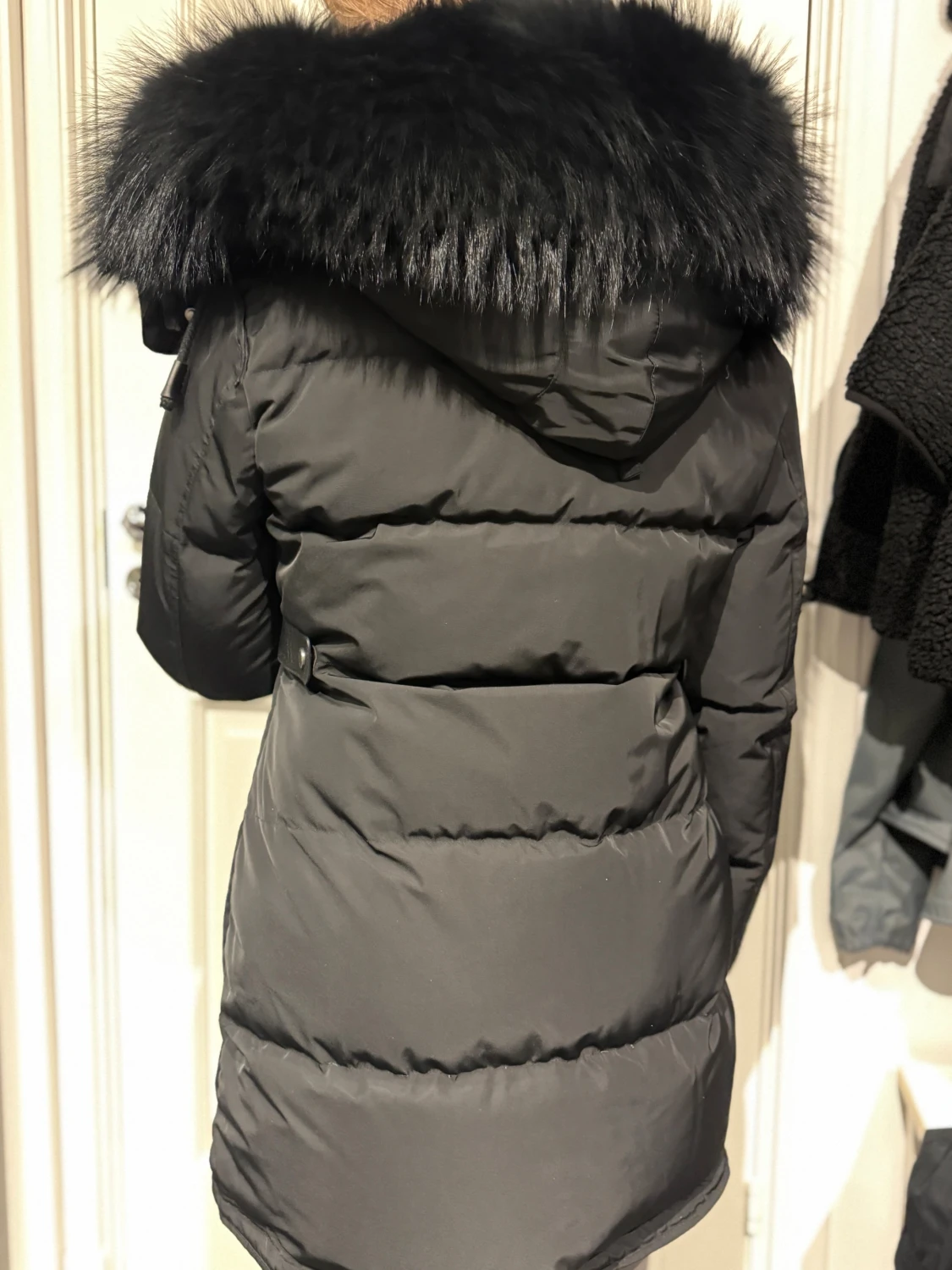 Cedrico dunjacka - 2