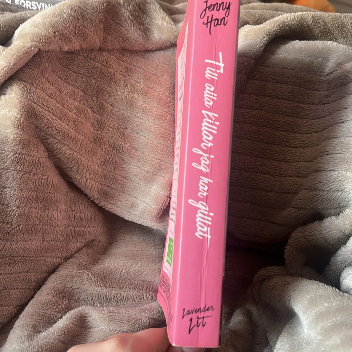 Till alla killar jag har gillat - 2