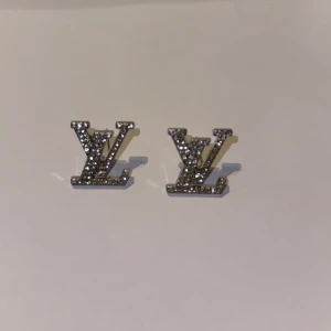 Örhängen  - Helt nya rostfria 