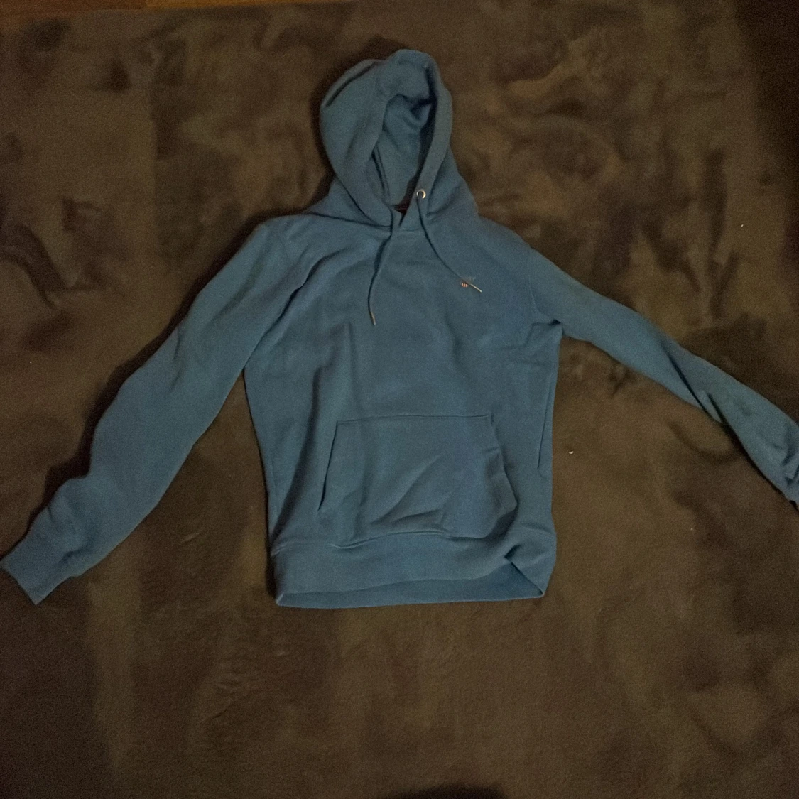 Blå hoodie från GANT med huva