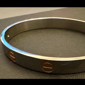 Love armband i silver och guld - Säljer ett Love armband från Ur och pen i silverfärgad metall med guldiga skruvdetaljer runt om. Armbandet har en stilren och tidlös design som känns både lyxig och modern. Perfekt accessoar för dig som gillar smycken och vill sticka ut med något klassiskt.