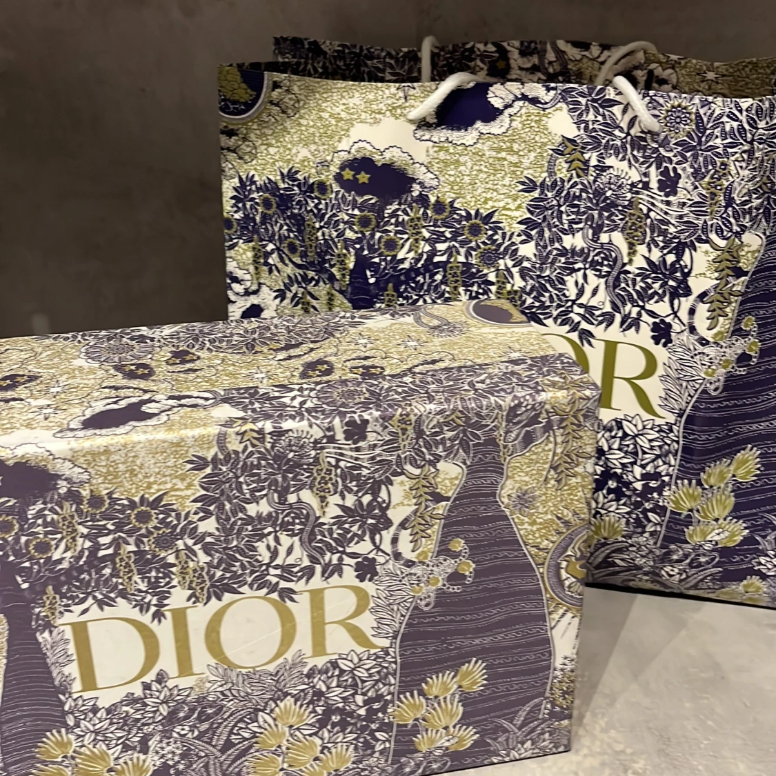Christian Dior skor - 4