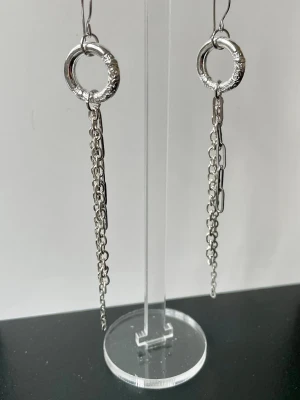 Rostfritt stål, Silvriga örhängen med ring och kedjor - Säljer ett par trendiga örhängen i silverfärgat stål. Örhängena har en rund ring upptill och två hängande kedjor i olika längder för en edgy look. Perfekta för dig som gillar statement-accessoarer och vill sticka ut lite extra.
