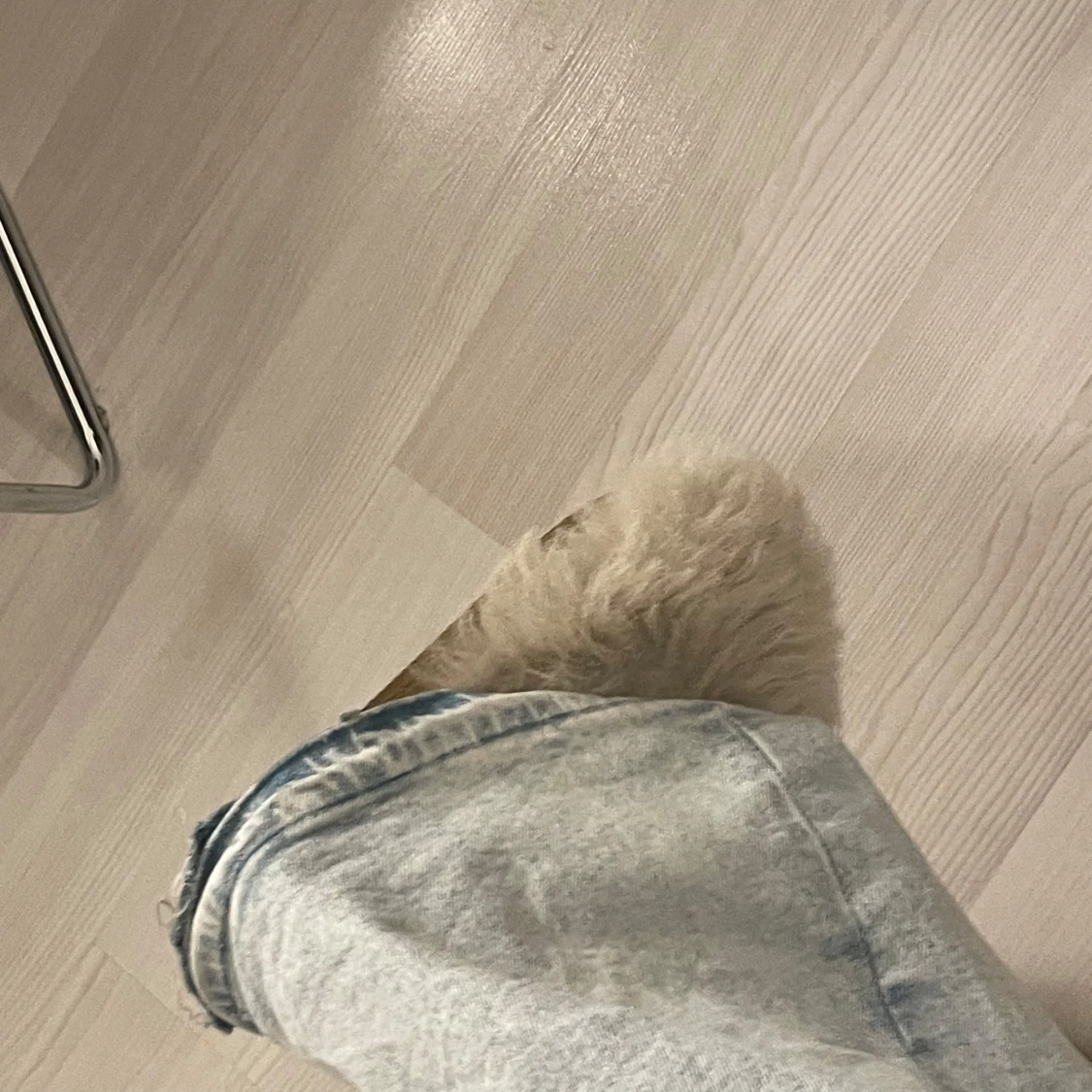 Ljusblå True Religion bootcut jeans - 3