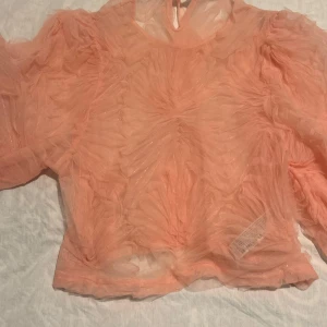 Persikofärgad volangig blus i mesh - Superfin persikofärgad blus i mesh med volangiga detaljer och puffiga ärmar. Blusen har knytning i nacken och är lätt transparent med ett skirt, glittrigt tyg. Perfekt för dig som vill sticka ut med en romantisk och trendig look.
