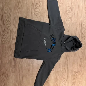 Grå hoodie från Hoodrich med tryck - Säljer en grå hoodie från Hoodrich med svart och blått tryck framtill och stort tryck på ryggen. Tröjan har huva, känguruficka och coola broderade detaljer. Perfekt för dig som gillar streetwear och vill sticka ut med snygga detaljer.