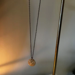 Guldigt halsband med rund berlock - Stilrent halsband med tunn kedja i guldton och en rund, platt berlock med stjärntecknet fiskarna/pisces🌟