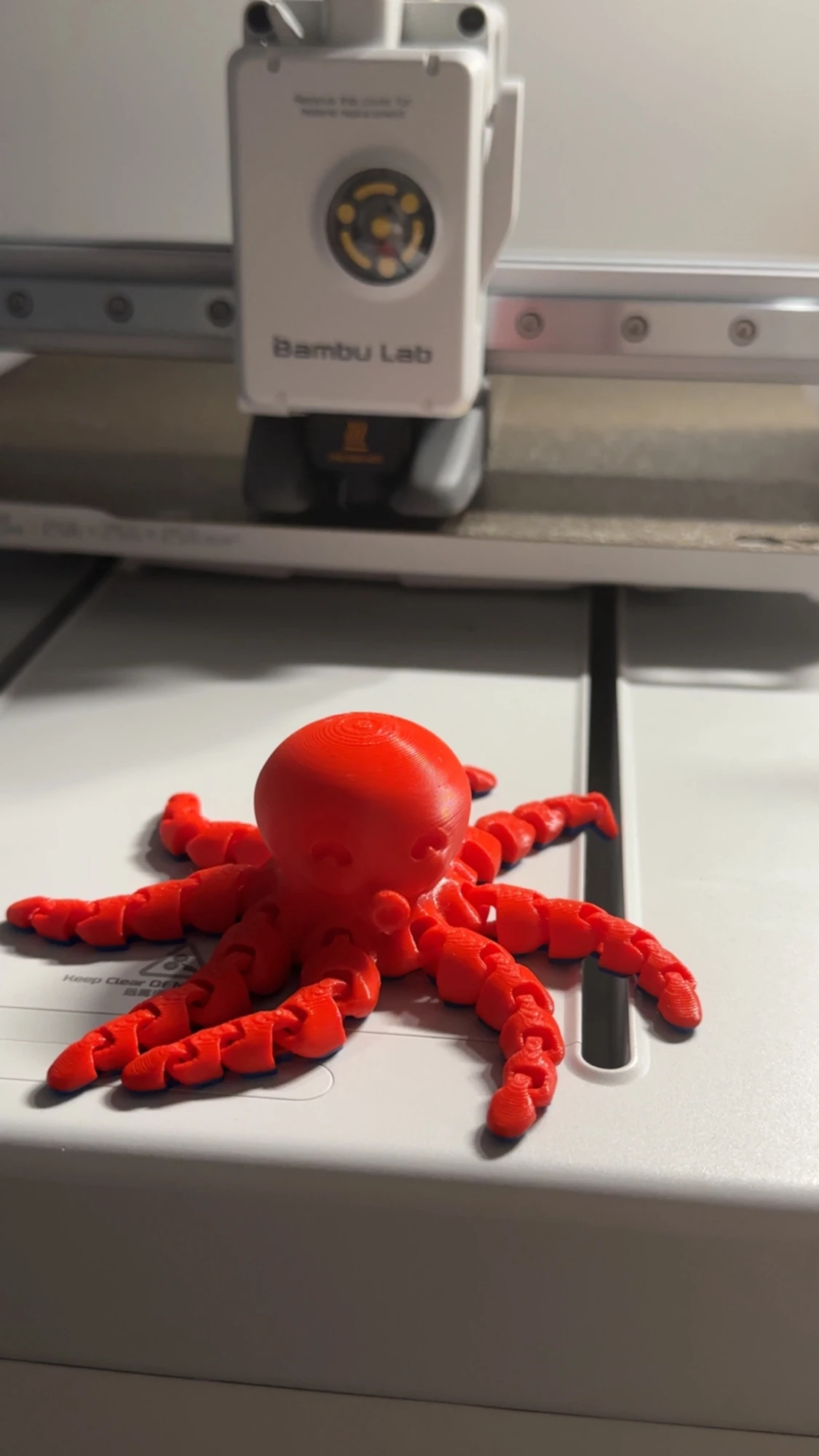 3D-printad flexibel bläckfisk med dubbelfärger - 3