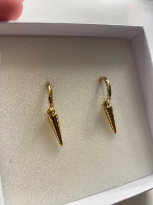 Guldiga örhängen från Edblad  - Säljer ett par coola guldiga örhängen med rund ring och hängande konformad detalj. De har en minimalistisk och edgy design som verkligen sticker ut. Perfekta för dig som vill ha något trendigt och stilrent i smyckesamlingen. Man får dem även packade i en Edblad påse eller box, de väljer man själv! ALDRIG ANVÄNDA!!!