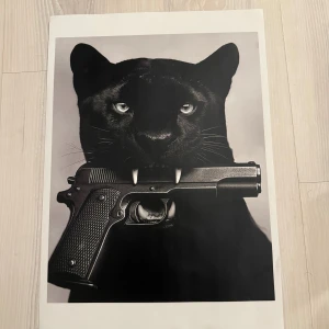 2st panter posters A3 - 2st panter posters A3