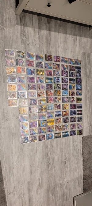 "Bud" - Bilderna visar en samling Pokémonkort som är utlagda på golvet, men ingen väst syns på bilderna.