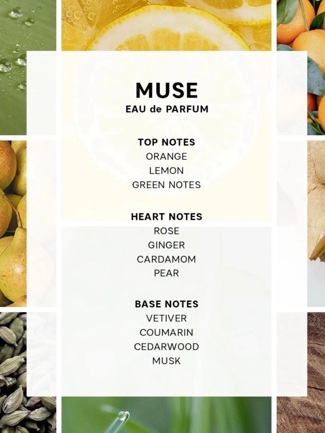 CAIA Muse Eau de Parfum - 1