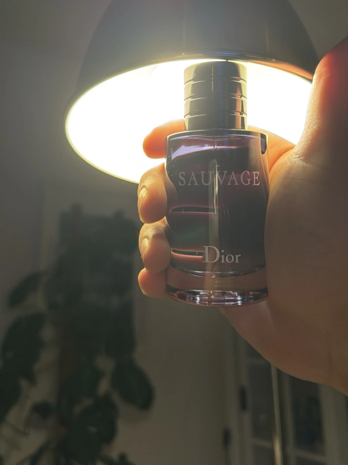 Dior Sauvage herrparfym - 1