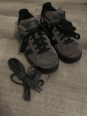 Bege gråa Adidas campus i mocka - Säljer ett par grå bega Adidas campus i mocka, använda ett fåtal gånger