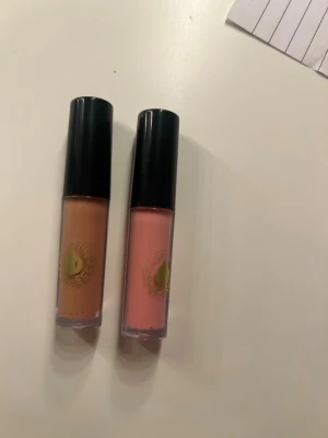 Två läppglans i nude och rosa - Säljer två läppglans med svart lock och genomskinlig tub. Ena är i en nude-brun nyans och den andra i en ljusrosa färg. Båda har en guldfärgad logga på framsidan. Perfekt för att ge läpparna glans och färg.