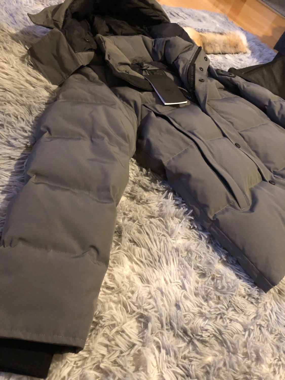 Grå dunjacka Canada Goose Fusion S/P - 1