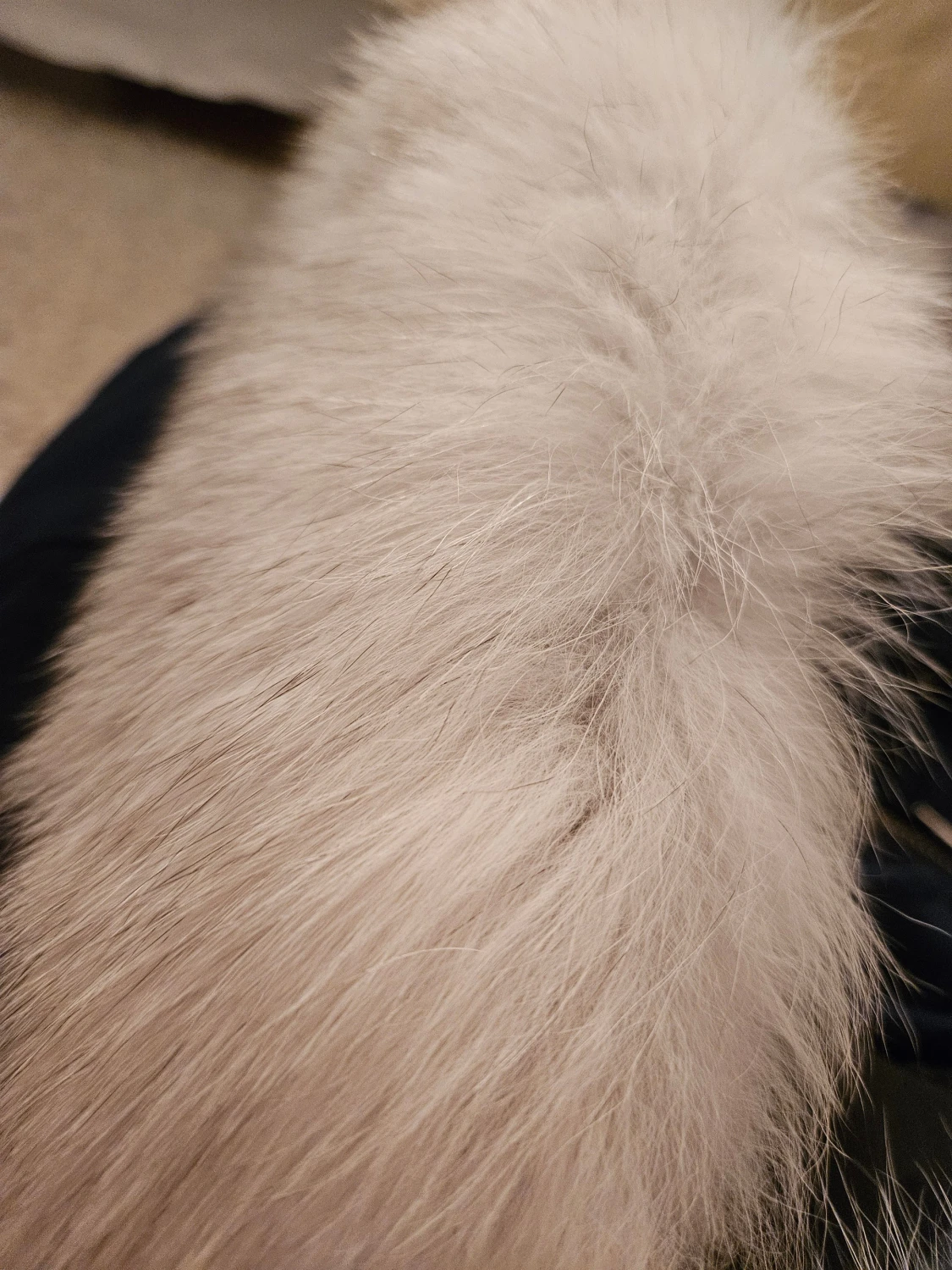 Blå Moose Knuckles dunjacka med päls - 3